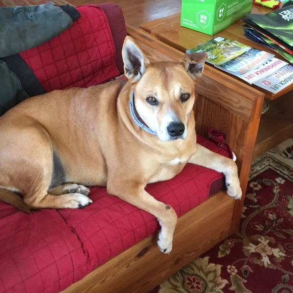 Meet your Posher, Ana - Picture 1 of 1